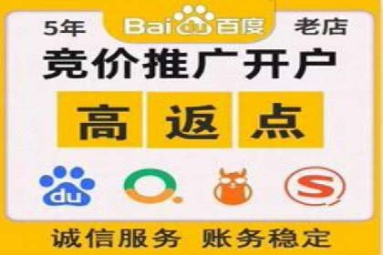 某品牌SEM广告策略揭秘——代运营公司的智慧